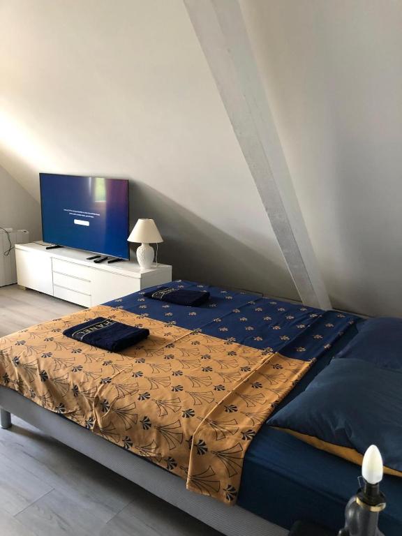 TV a/nebo společenská místnost v ubytování Les Cigognes de Andolsheim