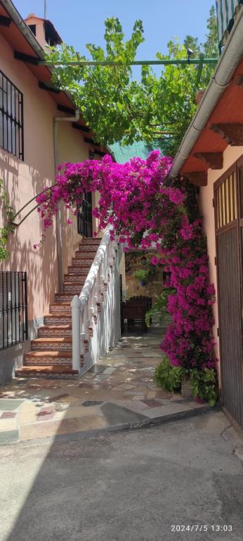 Fotografia z galérie ubytovania Cortijo de las flores Cazorla v destinácii La Iruela