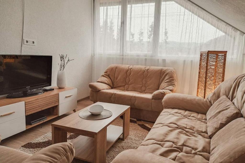 a living room with a couch and a tv at Apartman Hači in Kolašin