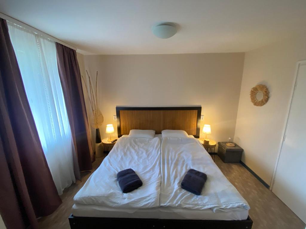 Summer Apartments - One-Bedroom Apartment