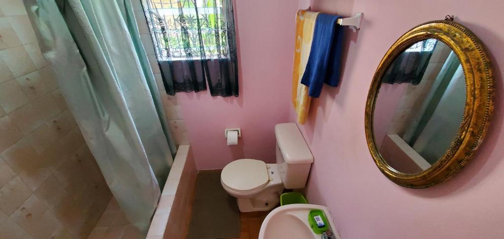 Little Shaw Park Guest House - Standard Studio