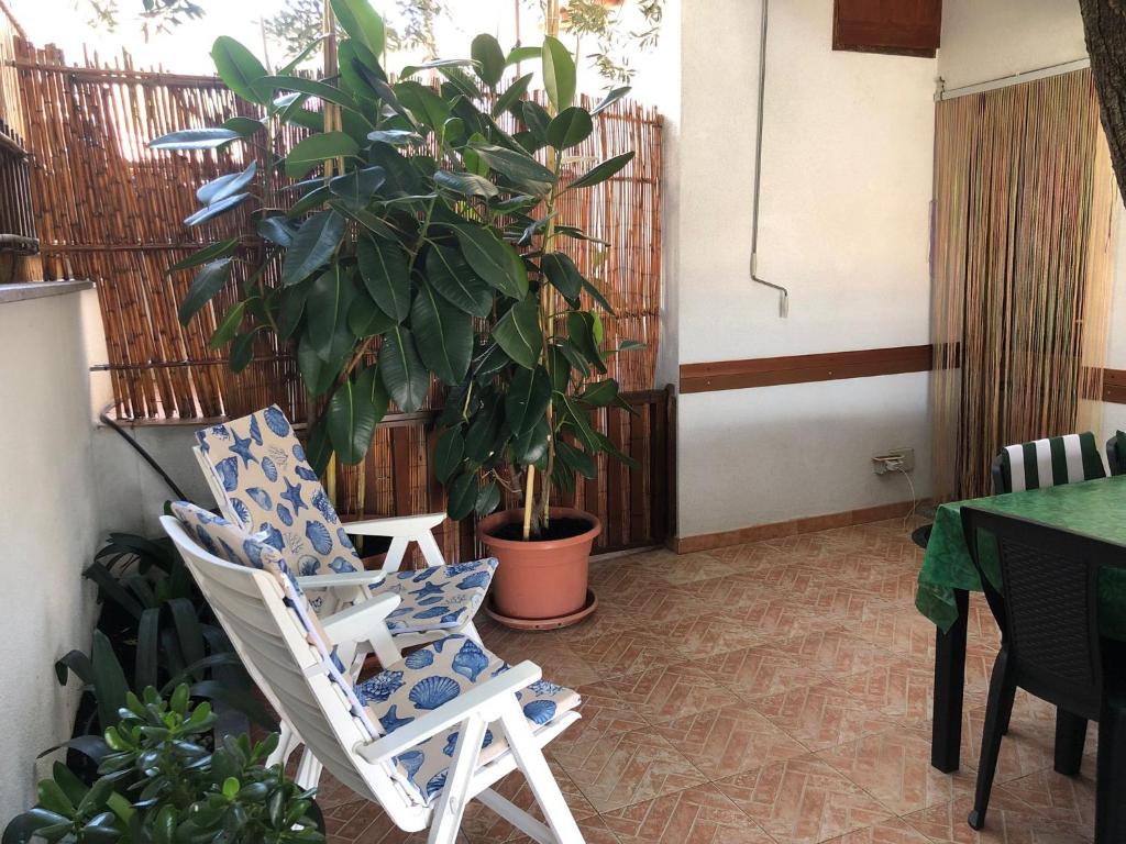 a patio with two chairs and a potted plant at Casa Turusele in Santa Maria Navarrese