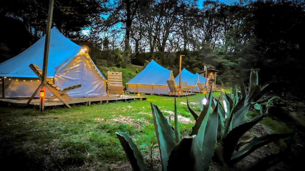 Zahrada ubytování GLAMPING VIVE TLAXCALA - Santuario de las luciérnagas