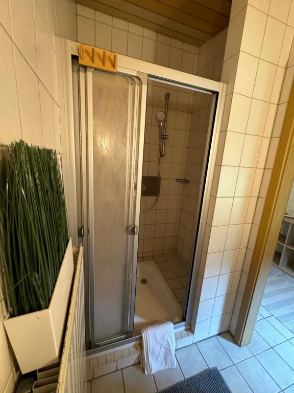 Koupelna v ubytování Apartment am Annaweiher