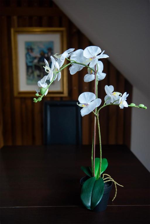 Fotografie z fotogalerie ubytování Modern Appartement v destinaci Courroux