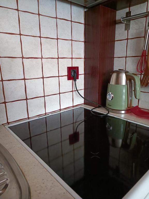 Studio apartman Vuković - 11