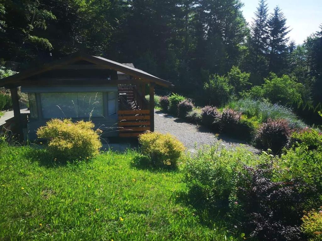 a garden with a small shed in the grass at Śniegocinka 4 in Brenna