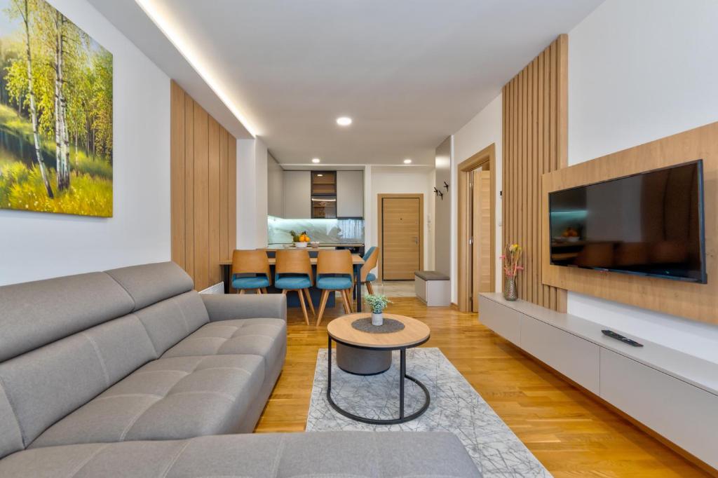 TV a/nebo společenská místnost v ubytování VIP Bogić Apartmani - Recepcija