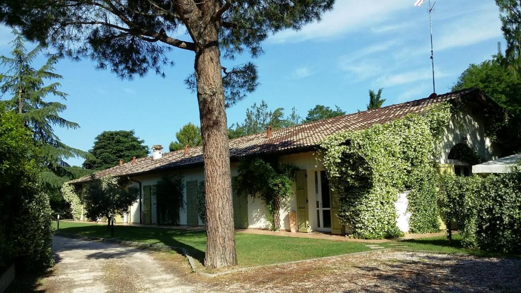 an old house with a tree in front of it at Caterina Residence in Faenza