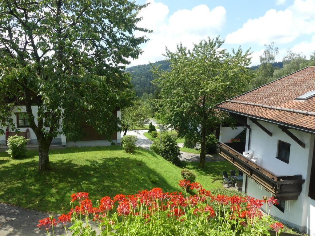 Příroda nedaleko apartmánu