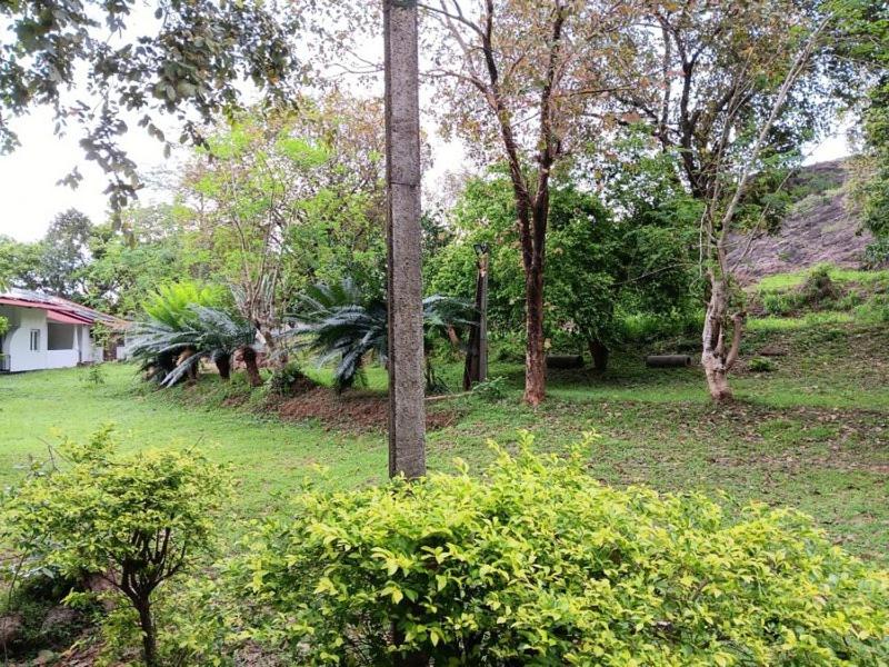 un poteau au milieu d'une cour avec des arbres dans l'établissement Aligama Cottage, à Talakolawela