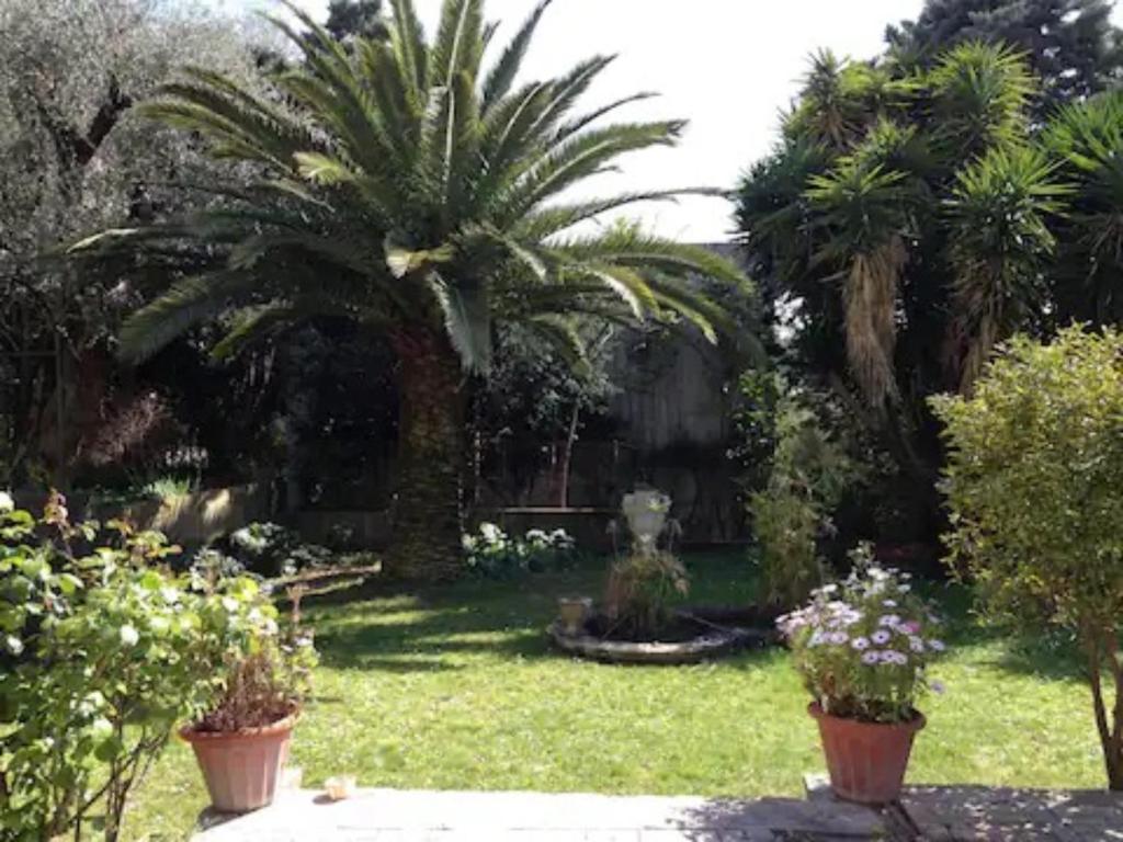 un jardin avec un palmier et une fontaine dans l'établissement Nice cosy studio, à Nice