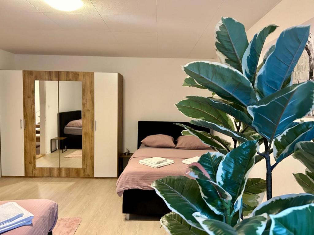 tas24ch Travel and Sleep 24 - Resim 1