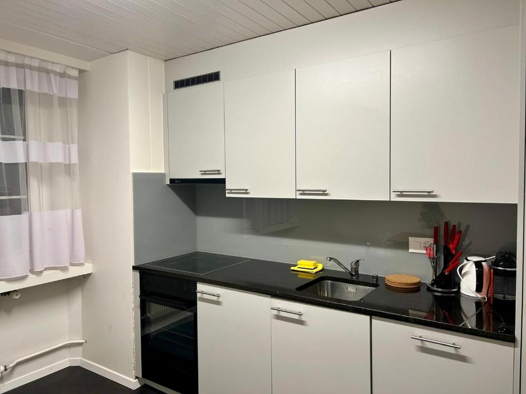 Kuchyň nebo kuchyňský kout v ubytování tas24ch Travel and Sleep 24