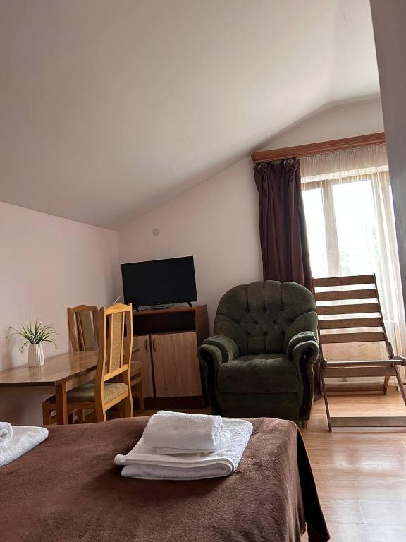 TV a/nebo společenská místnost v ubytování Nectar hotel
