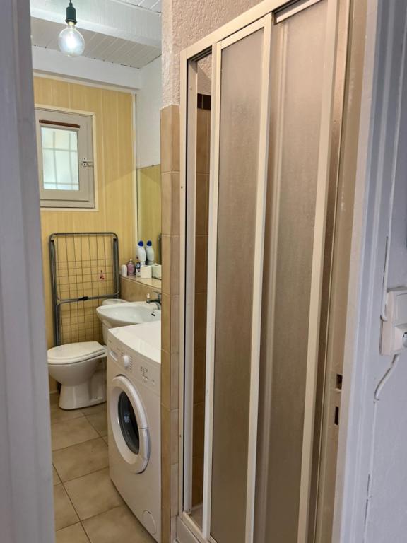 une salle de bain avec une machine à laver et un lave-linge dans l'établissement Pavillon chez Michel corse, à Poggio-Mezzana