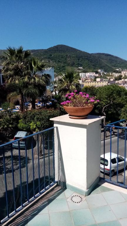 a bowl of flowers on a ledge on a balcony at Appartamento Casa di Sole Ischia in Ischia Town