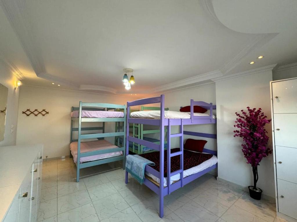 Postel nebo postele na pokoji v ubytování Cairo Pyramids View Hostel & Apartment