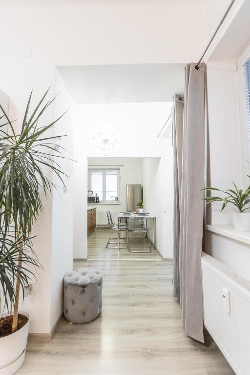 Fotografie z fotogalerie ubytování Apartmán v Srdci Náchoda v Náchodě