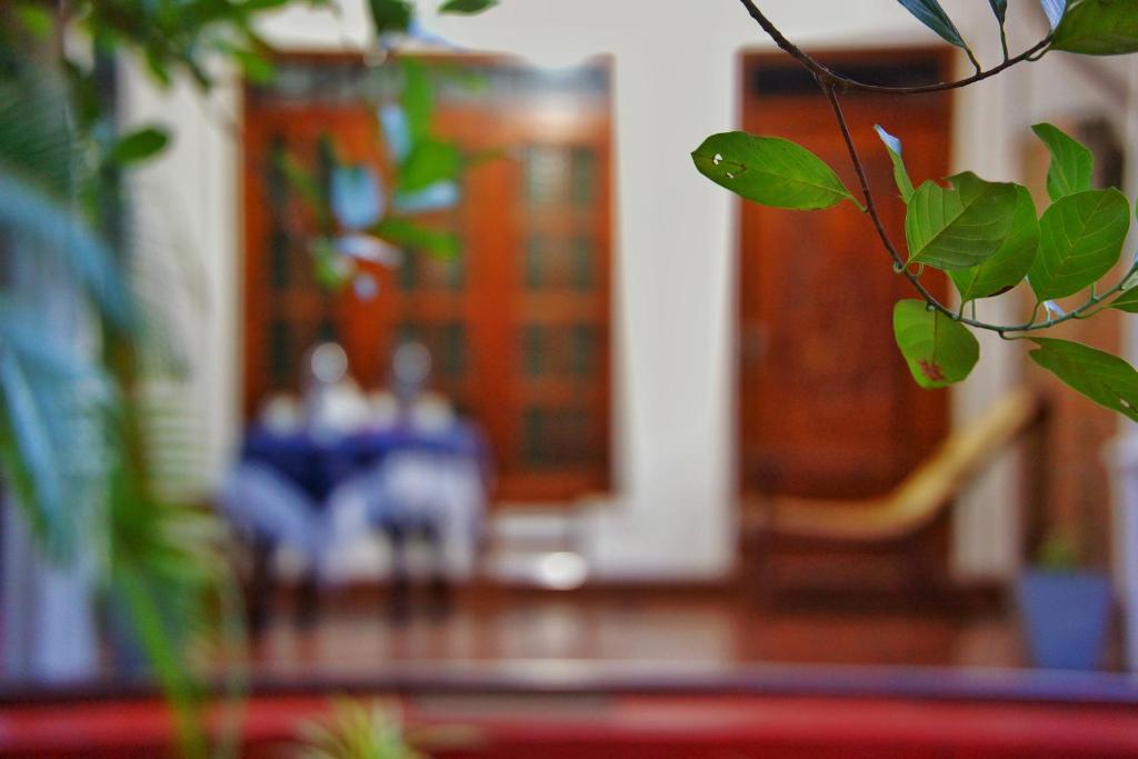 Fotografie z fotogalerie ubytování Lily's Garden Resort v destinaci Sigiriya
