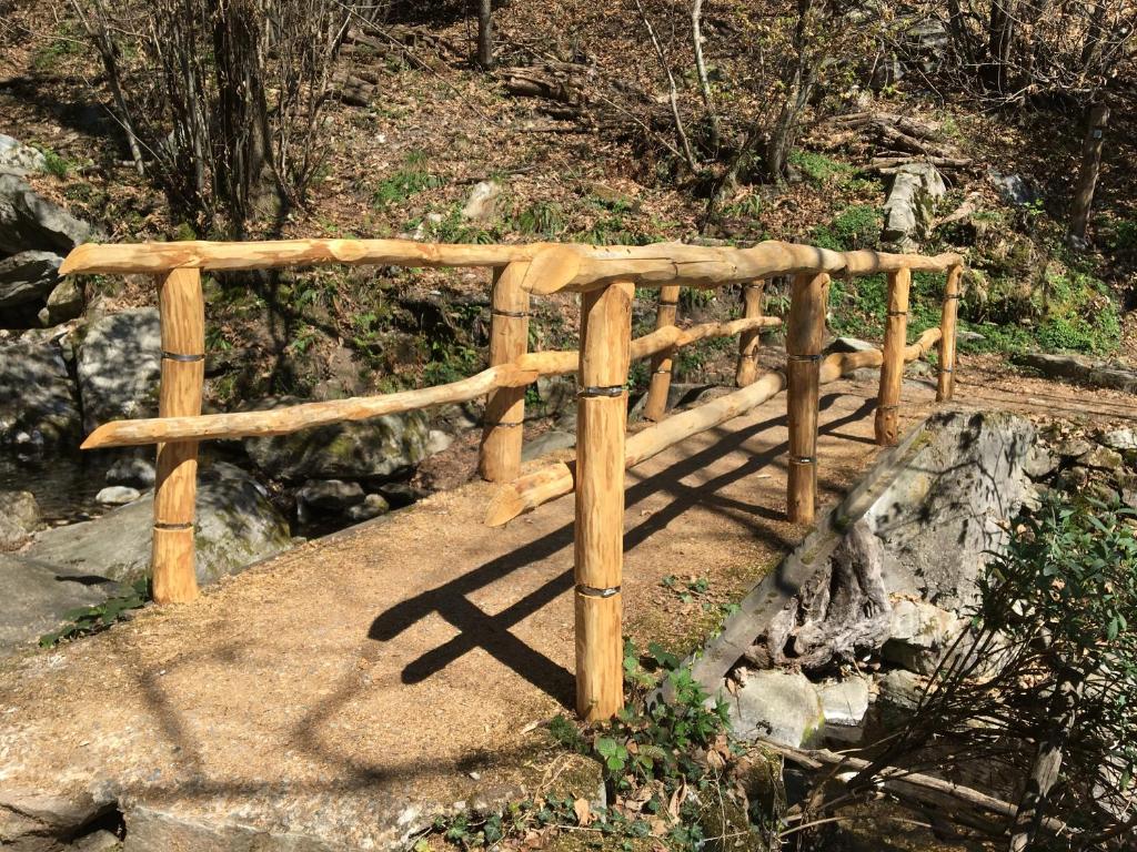 Příroda nedaleko apartmánu
