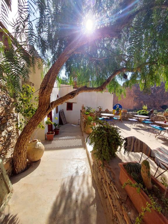 a large tree in a courtyard with a building at Tigmi Bulbul in Id AÃ¯ssa