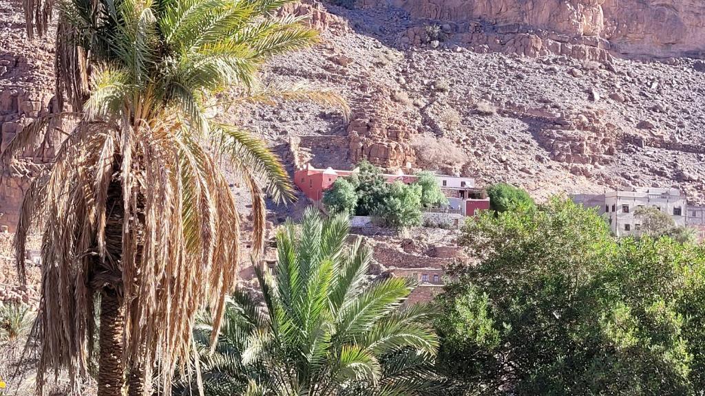 a palm tree in front of a mountain at Tigmi Bulbul in Id AÃ¯ssa