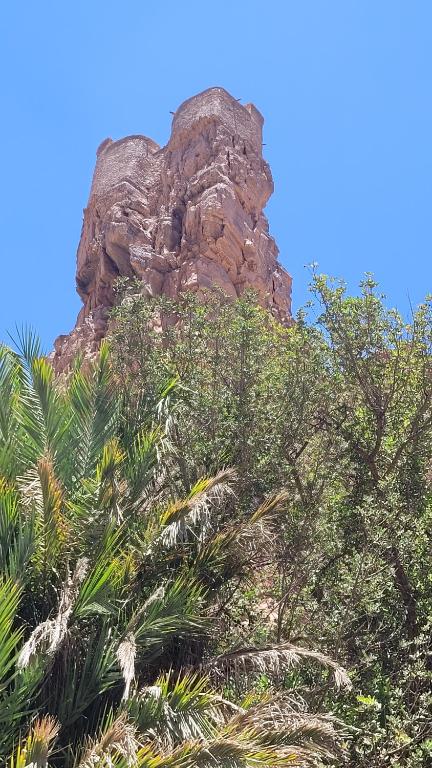 a rock formation behind a group of trees at Tigmi Bulbul in Id AÃ¯ssa