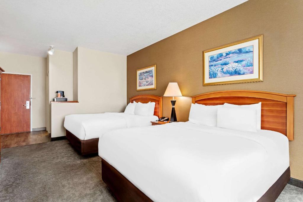 Comfort Inn & Suites I-25 near Spaceport America - 标准皇后室，有两张大床 - 不吸烟