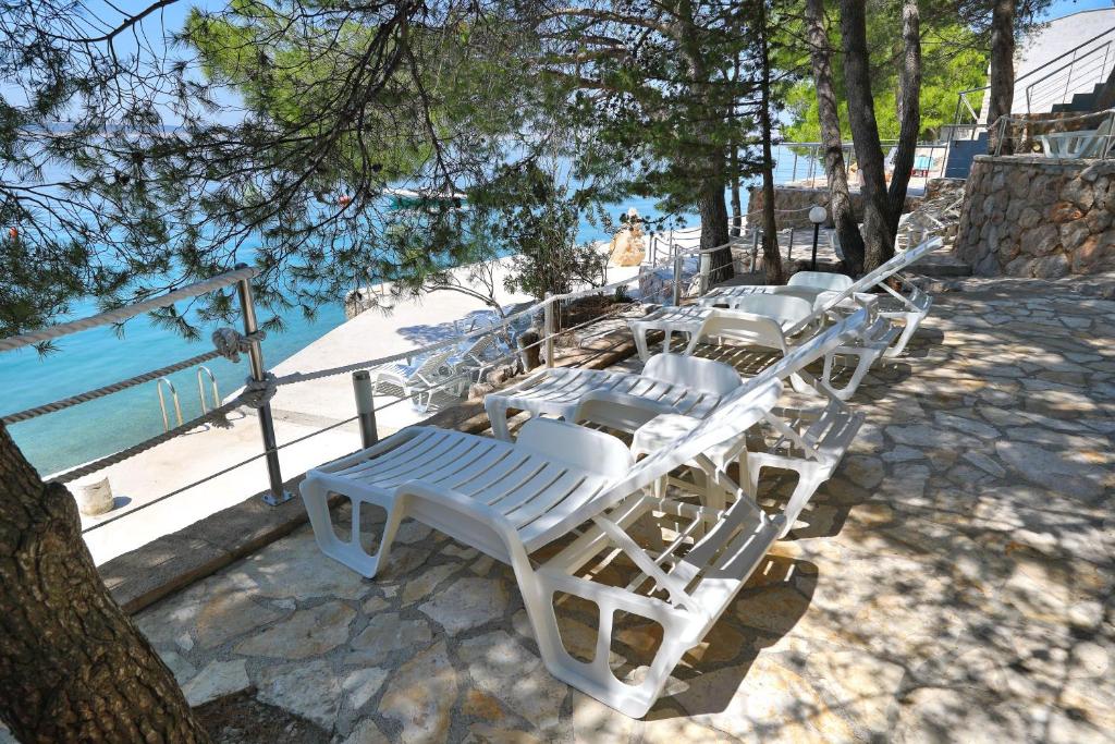 Príroda v okolí apartmánu