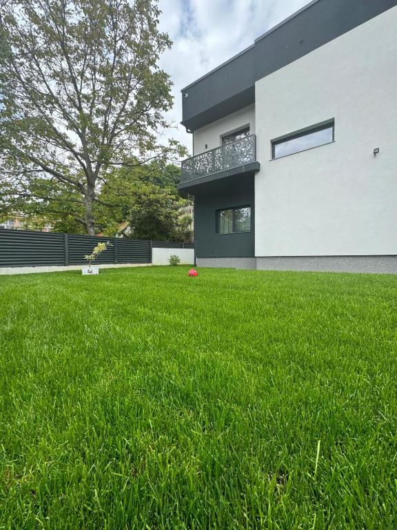 a house with a green lawn in front of it at Casa de vacanta Cris 2 in Băile Olăneşti