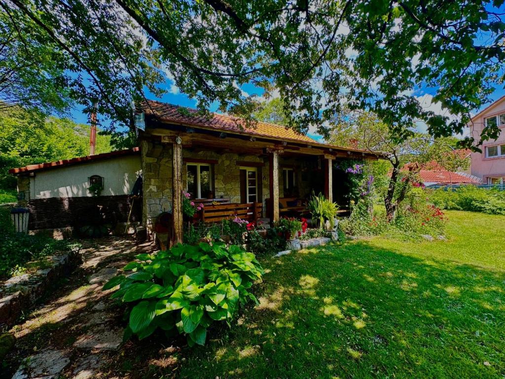 Κήπος έξω από το Artistic Garden House