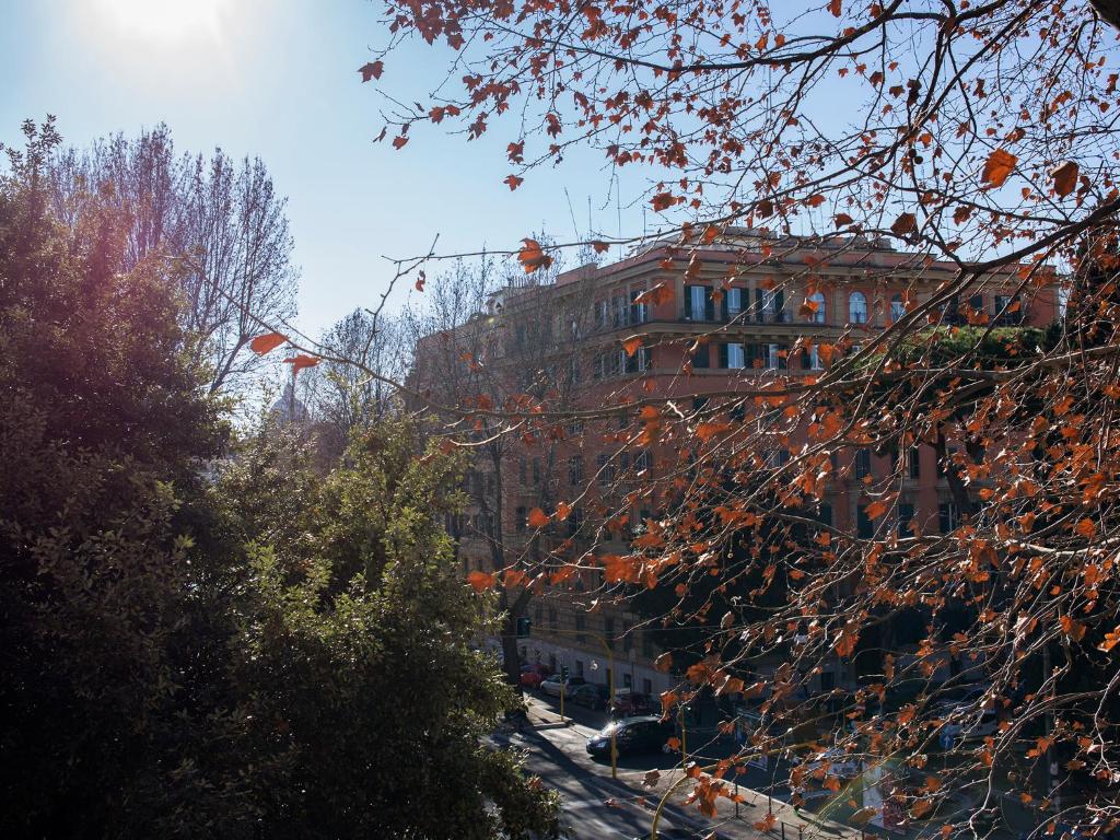 Príroda v okolí apartmánu