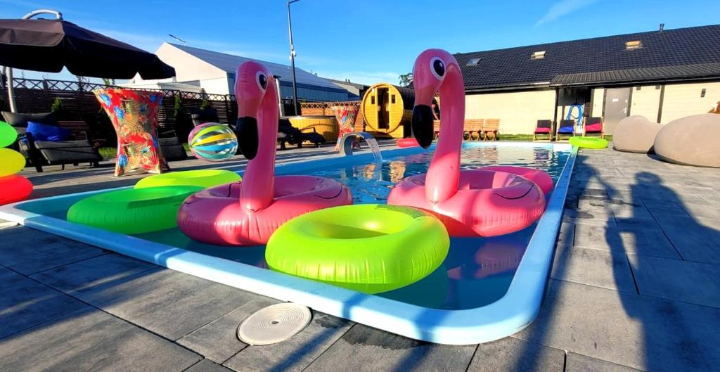 a pool with some inflatable swans in the water at Niko Jeziorsko in Ostrów Warcki