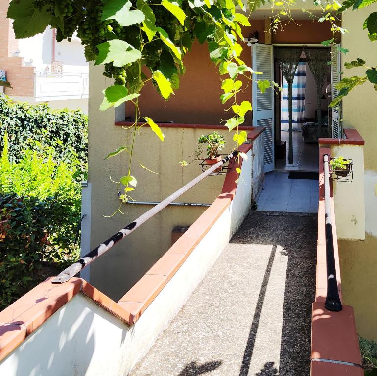 Zahrada ubytování Casa Giulia