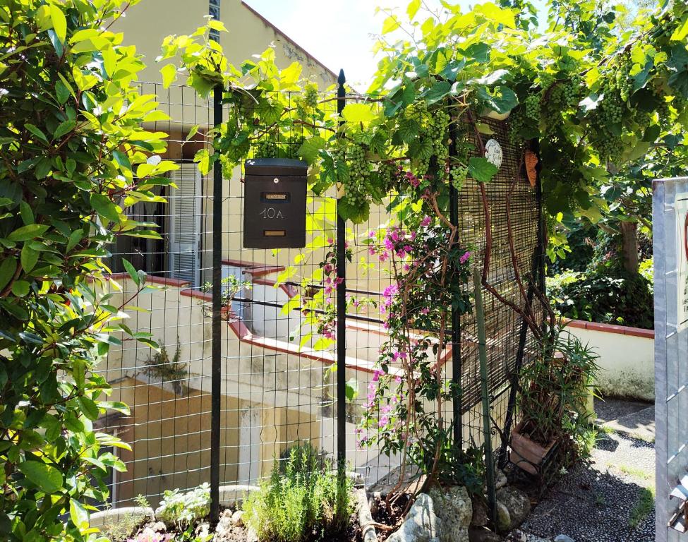Zahrada ubytování Casa Giulia