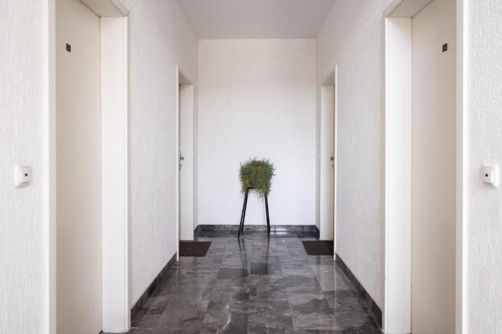 Fotografie z fotogalerie ubytování Hotel Luxor v destinaci Pristina