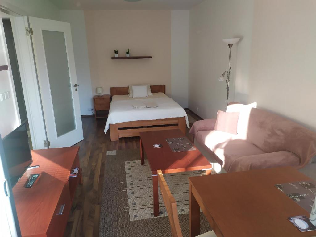 TV a/nebo společenská místnost v ubytování Gonda Apartments