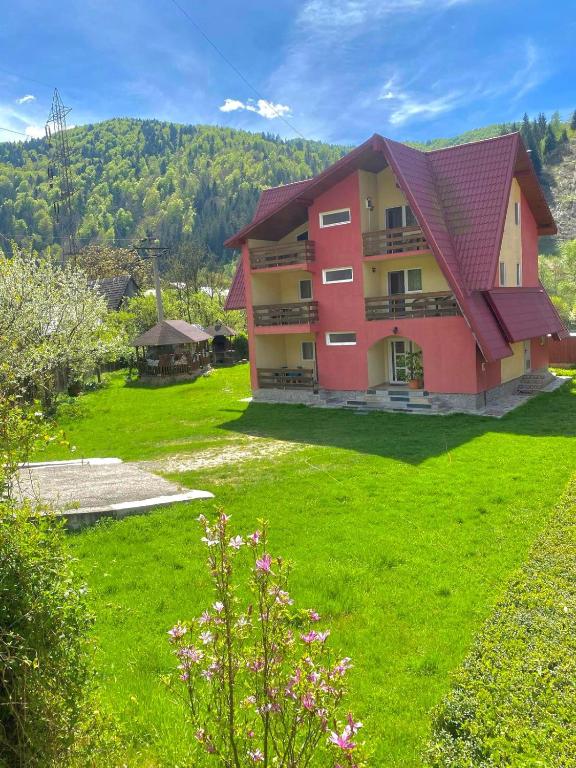 a large building with a green yard with flowers at Pensiunea BUJOR DE MUNTE in Voineasa