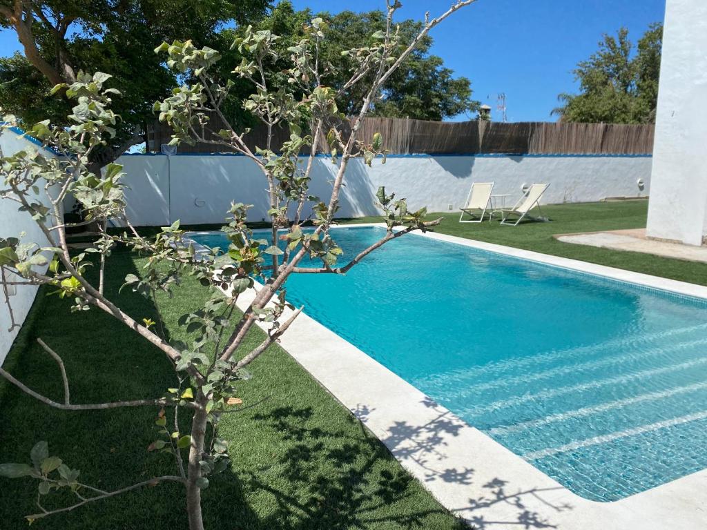 a swimming pool in a yard with a tree at Alojamiento Rural Al´Mare in Conil de la Frontera