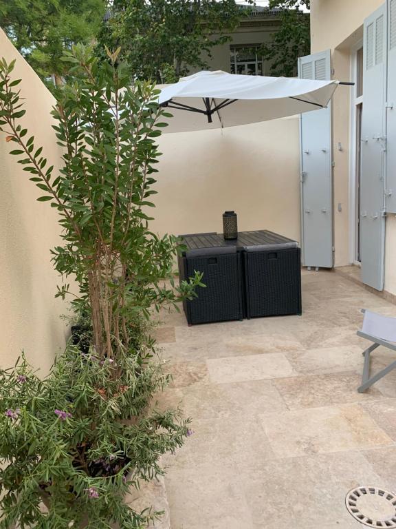 une terrasse avec un parasol blanc et une plante dans l'établissement Havre de paix en centre ville, à Marseille