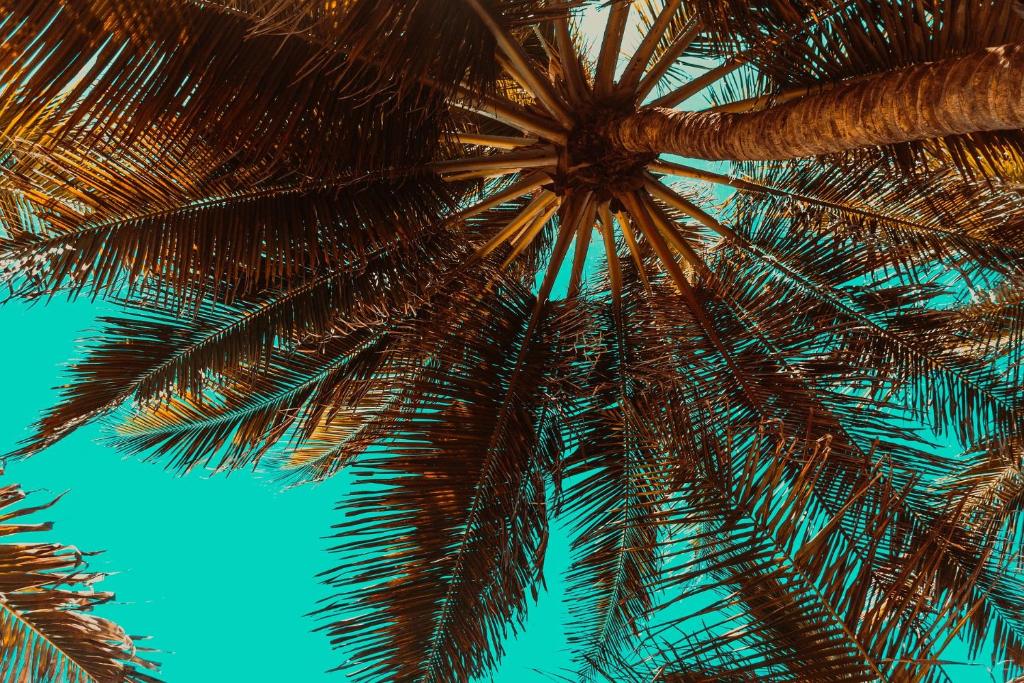 Fotografie z fotogalerie ubytování Aiolos Suite v destinaci Sitia