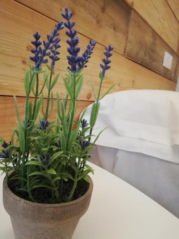 Postel nebo postele na pokoji v ubytování Hostal Ochoa