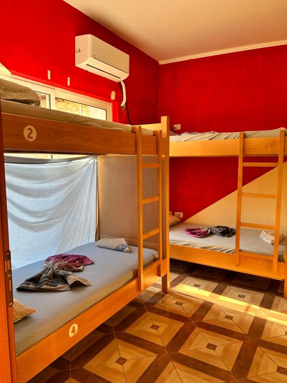 two bunk beds in a room with a red wall at D1 Hostel in Tirana