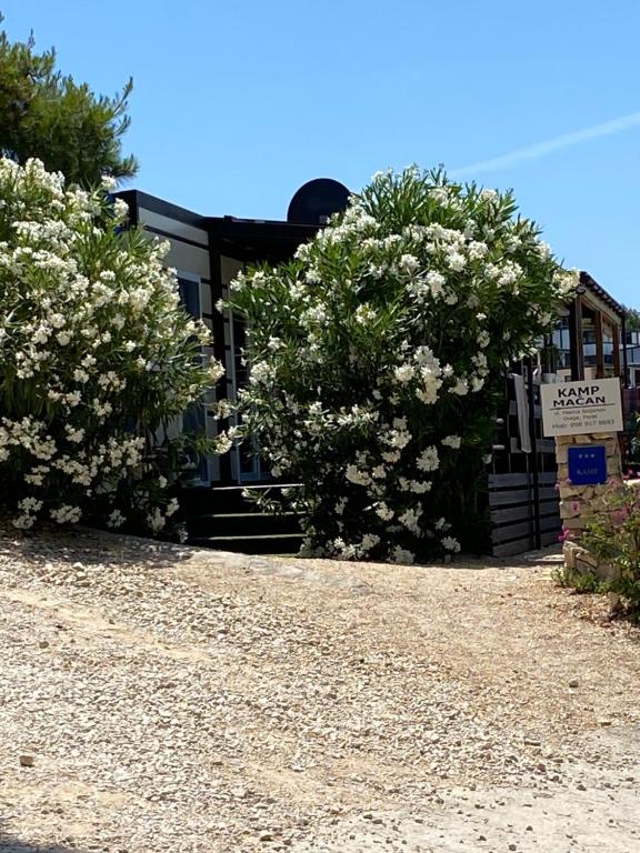 Zahrada ubytování Mobile House on Drage Beach