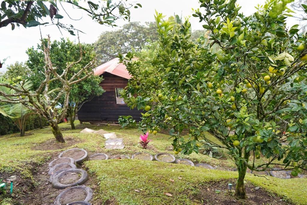 Jardín al aire libre en Hospedaje Mirador La Aurora Filandia