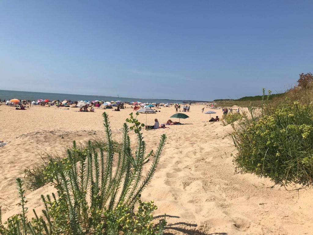 un groupe de personnes sur une plage avec des parasols dans l'établissement Tahiti Village La Grande Côte, à Saint-Palais-sur-Mer