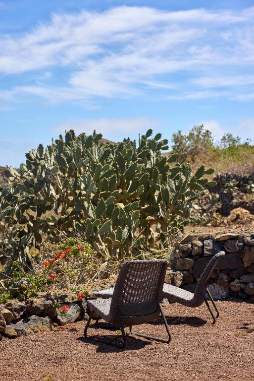 Fotografie z fotogalerie ubytování Casas Rurales Los Almendreros v destinaci Valverde