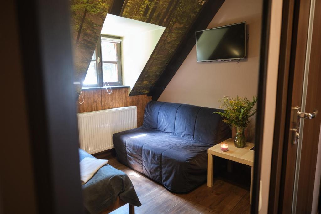 Villa Biesisko - SPA Przysłup Cisna - Habitación Doble