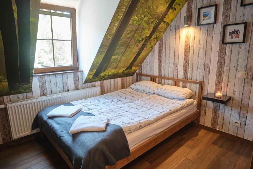 Villa Biesisko - SPA Przysłup Cisna - Habitación Doble